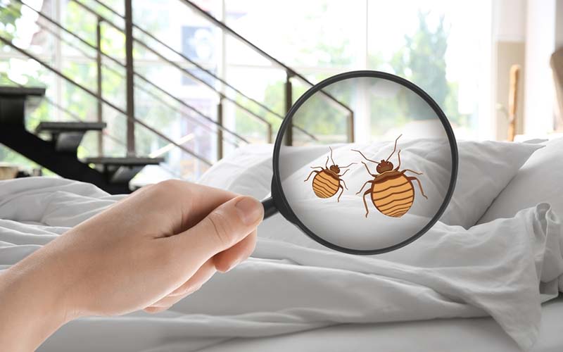 carpet cleaners in Bronx, carpet cleaning in Bronx, carpet cleaning bronx, carpet cleaners in bronx,  commercial carpet cleaning, commercial carpet cleaning in bronx,carpet cleaning in bronx,  bronx rug cleaners, rug cleaning services in bronx, same day carpet cleaning, same day rug cleaning