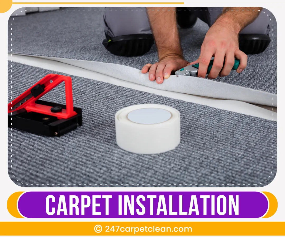 carpet cleaners in Bronx, carpet cleaning in Bronx, carpet cleaning bronx, carpet cleaners in bronx,  commercial carpet cleaning, commercial carpet cleaning in bronx,carpet cleaning in bronx,  bronx rug cleaners, rug cleaning services in bronx, same day carpet cleaning, same day rug cleaning