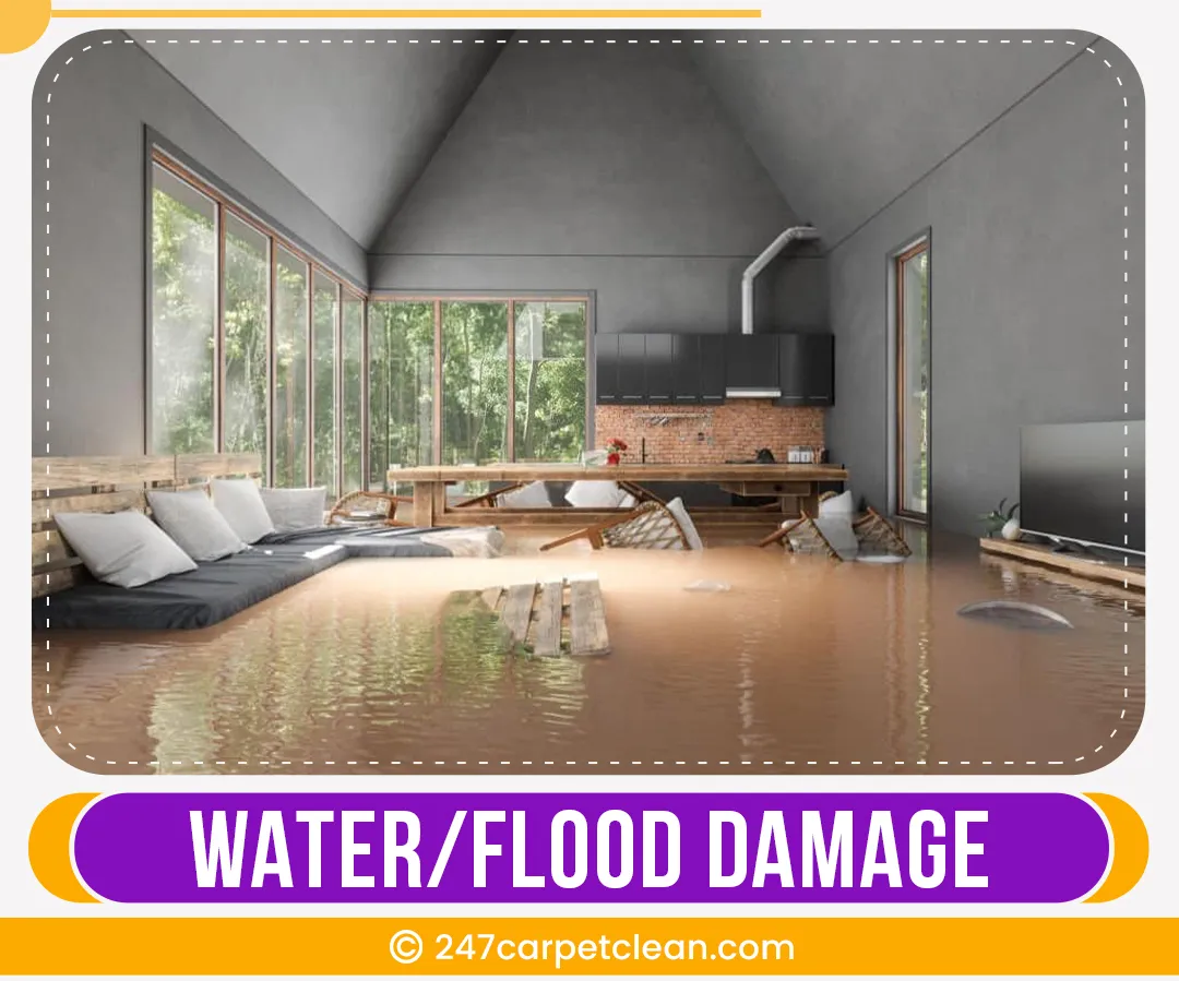 carpet cleaners in Bronx, carpet cleaning in Bronx, carpet cleaning bronx, carpet cleaners in bronx,  commercial carpet cleaning, commercial carpet cleaning in bronx,carpet cleaning in bronx,  bronx rug cleaners, rug cleaning services in bronx, same day carpet cleaning, same day rug cleaning