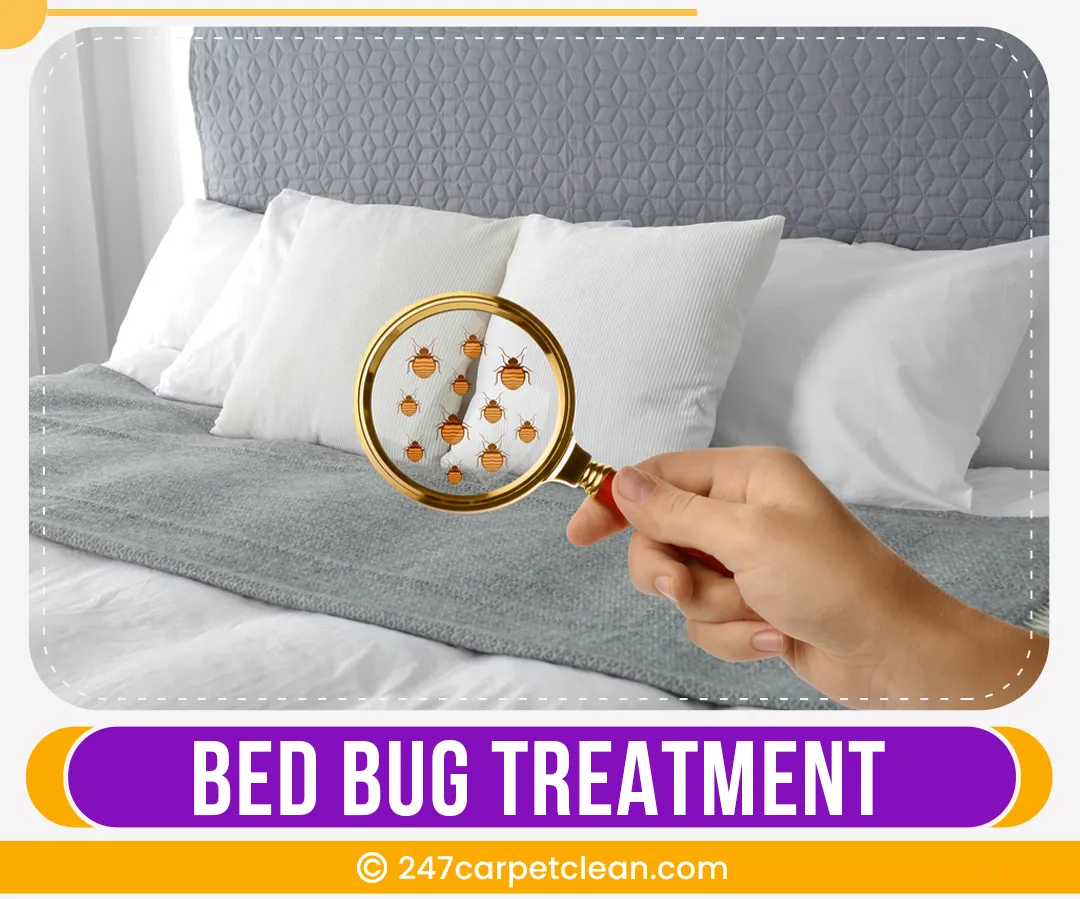 carpet cleaners in Bronx, carpet cleaning in Bronx, carpet cleaning bronx, carpet cleaners in bronx,  commercial carpet cleaning, commercial carpet cleaning in bronx,carpet cleaning in bronx,  bronx rug cleaners, rug cleaning services in bronx, same day carpet cleaning, same day rug cleaning